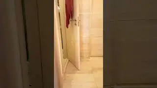 20 октября 2024 г.