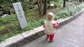 Japan from a South African Perspective