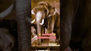 🔥 ചരിത്രം വഴിമാറേണ്ട സമയമായി. അതിൽ ഒരുവൻ ഇവൻ 🔥 കാർത്തി🔥#india#shorts#short#love#tamil#reels#viral#ai