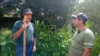 O SENHOR CIDE ME MOSTROU A HORTA E VEJA COMO ESTÁ AS PLANTAS 