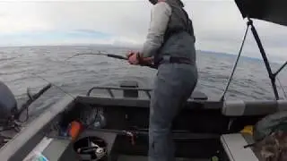 Sekiu Max Lingcod - Fish Hard Northwest