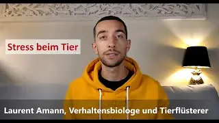 Hat dein Tier Stress? Tierfl&uuml;sterer Laurent Amann zeigt dir, was du tun kannst.