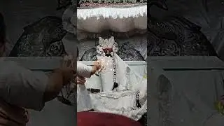 Live - श्री राधावल्लभ लाल जू कि मंगला आरती दर्शन श्री धाम वृंदावन से 19.10.24 #live #videos #vlogs