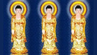 [🔴] TRỰC TIẾP: THỜI KHÓA TU TỐI 18H00 - 19H40