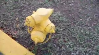 Wet Barrel Fire Hydrant - Fully Pressurized