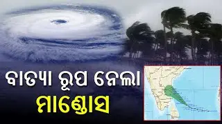 Cyclone Mandous Update: IMD Issues Cyclone Red Alert To 3 Districts, Check Impact On Odisha