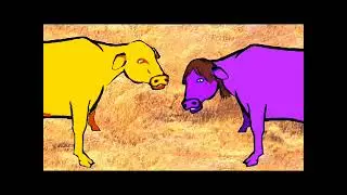 The Life of an Inbred Mountain Cow (ReUpload)