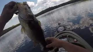 wow! he fought hard. wow nice bass, in Maine