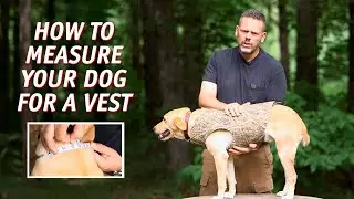 Dog Vest Measuring Guide: Avoid a Poor Fit Before Duck Season