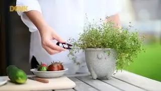 Denk Kr&auml;utertopf Granicium