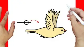 HOW TO DRAW A BIRD FLYING