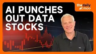 AI delivers a knockout blow as data, consulting stocks plummet
