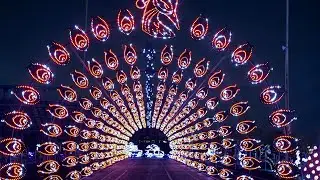 [4K] World of Illumination - ENCHANTED SAFARI | Spectacular Christmas Light Show #MrLang 