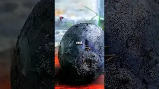 Моя беременная бывшая жена и её муж ожидали, что наша 16-летняя дочь будет выполнять всю работу п...