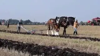 Prickwillow Ploughing Festival 2015