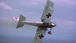 Il Barone Rosso - Goran Kuzminac - English subtitles