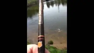 Fly fishing sunfish
