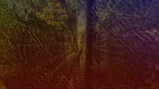 Blind Woodlands Wraith RP Surge 0 4 0