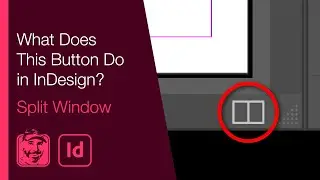 What Does This Button Do in InDesign? (Split Window)