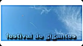 Festival de Gigantes (Jardim Rodolfo Pirani) resenha top😉