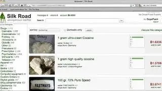 FBI closes Silk Road website, arrests alleged owner