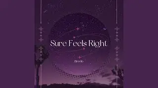 Sure Feels Right (feat. breelo)