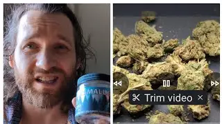 Blue dream Outdoor flower review from THCA small buds  this one is agreeable on the olfactory