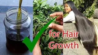 How to Make Bhringraj Oil at Home | Hair Growth Indian Secret | Get Long and Thick Hair