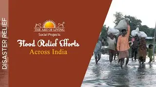 Global Compassion: The Art of Living's Flood Relief Efforts Across India and Beyond