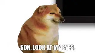 Belle Delphine Silence Wench DOGE
