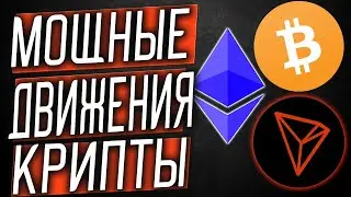 Обзор tron.tel! Получи свои 1000 TRX (TRON) бесплатно за регистрацию в проекте!