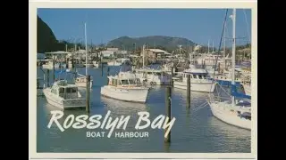 2025 21st Anniversary -    Great Keppel Trip 1