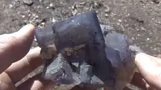 HUGE HIGH GRADE FLUORITE CLUSTER__DENTON MINE__CAVE IN ROCK , Illinois