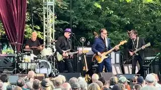 This Year’s Girl - Elvis Costello Live at The Woodland Park Zoo in Seattle, Washington 6/12/2025