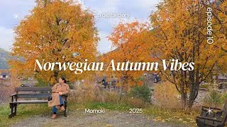 A Cozy Autumn in Norway | Fall Colors, Village Walks, Christmas Sneak Peek & Northern Lights
