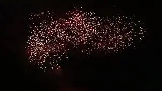 C216 44mm Whistling Butterflies to Red Plum bursts (video shows 3 units)
