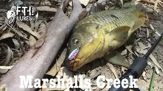 FTL Lures - Exploring Marshalls Creek