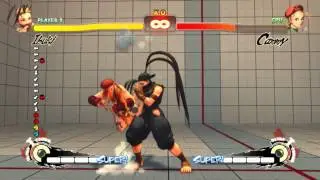 Street Fighter IV [Render test] | Ibuki training