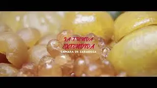 La Tienda Extendida | Pasteler&iacute;a Fantoba