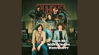 Sturmvogel (Live,Bremen,1977)