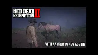 Beginner guide, easiest way to Blackwater and New Austin with Arthur Morgan