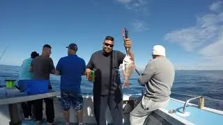 Perch and Snapper fishing charters Cronulla Sydney