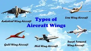 Types of Wings in Aircraft | Aircraft Wings | Airplane Wings | Aircraft Wings Types and Shapes
