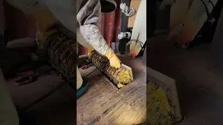 One our most viewed videos of 2025! 50,000 bees = 🥰 1 spider = 😭🤢😫