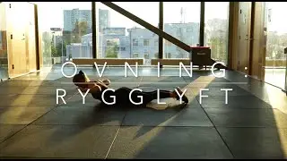 &Ouml;VNING: RYGGLYFT