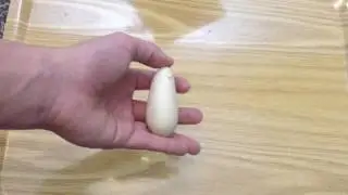 What's Inside a Ball Python Slug