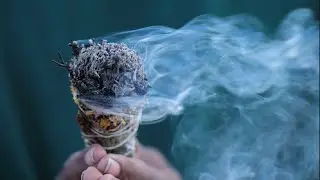 All About White Sage Smudge Cleansing ...