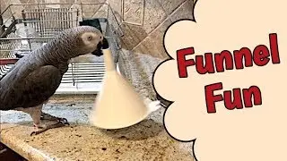 Funnel Fun with Einstein