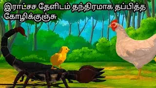 இராட்சச தேளிடமிருந்து தந்திரமாக தப்பித்த கோழிக்குஞ்சு || godshadow kids cartoons tamil