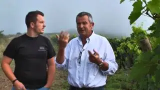 Brunello 2010 - The Vintage of A Life Time - Casanova di Neri